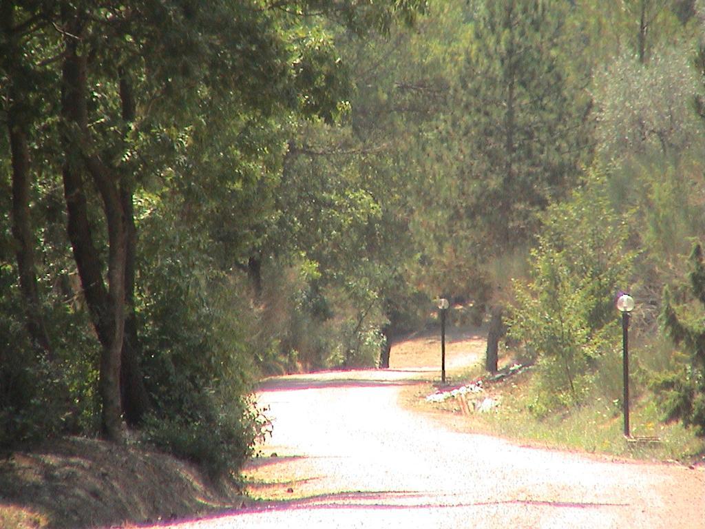 Agriturismo Belsito Pian Di Boccio Bevagna Eksteriør billede