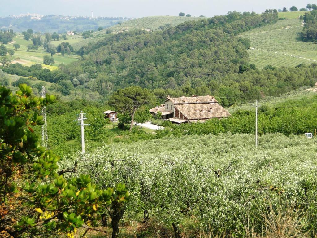 Agriturismo Belsito Pian Di Boccio Bevagna Eksteriør billede