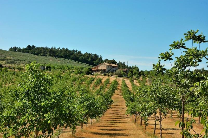 Agriturismo Belsito Pian Di Boccio Bevagna Eksteriør billede