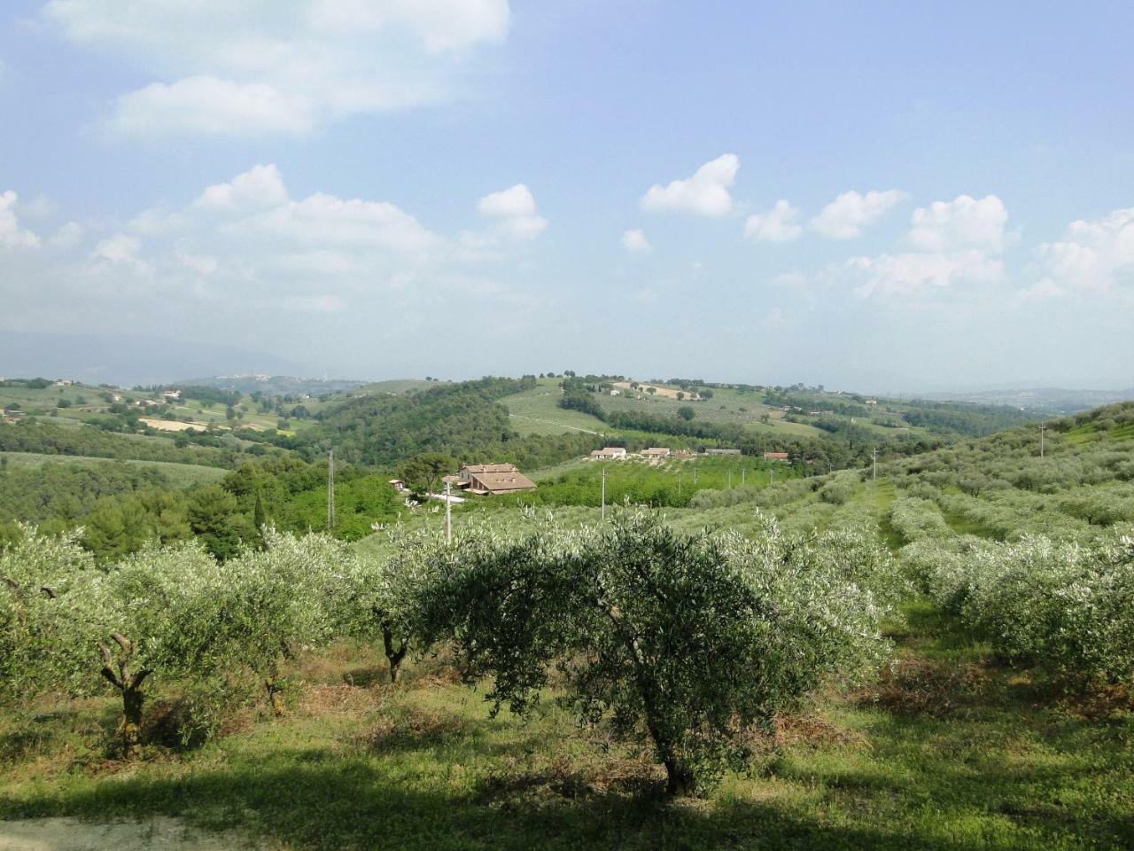 Agriturismo Belsito Pian Di Boccio Bevagna Eksteriør billede